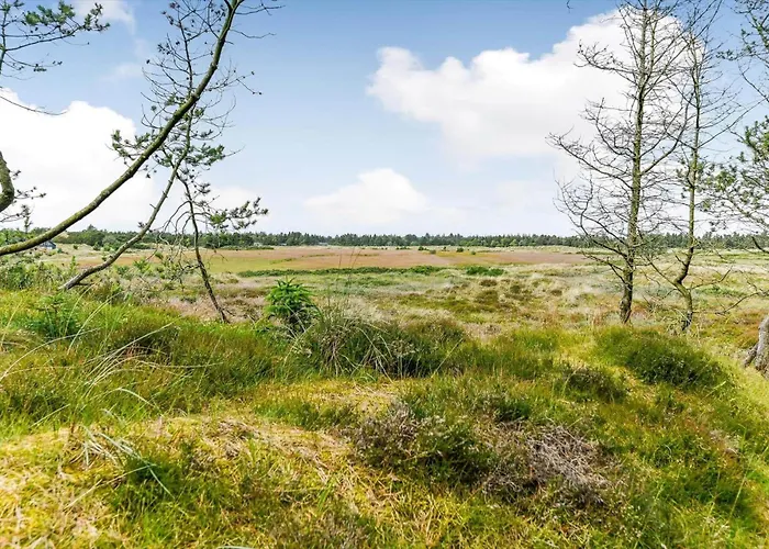 Bv345-blavand-gl-maelkevej-41